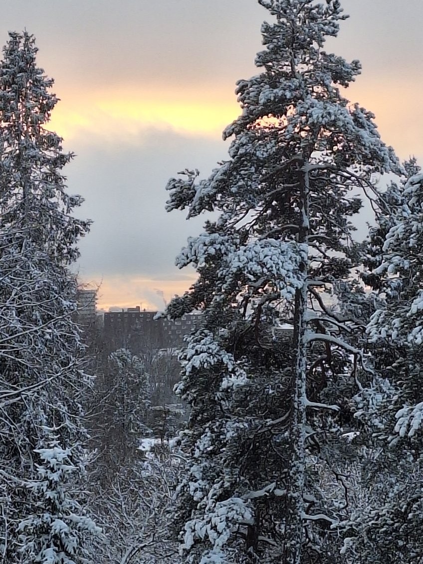 Bilde er tatt av selger. Galleribilde