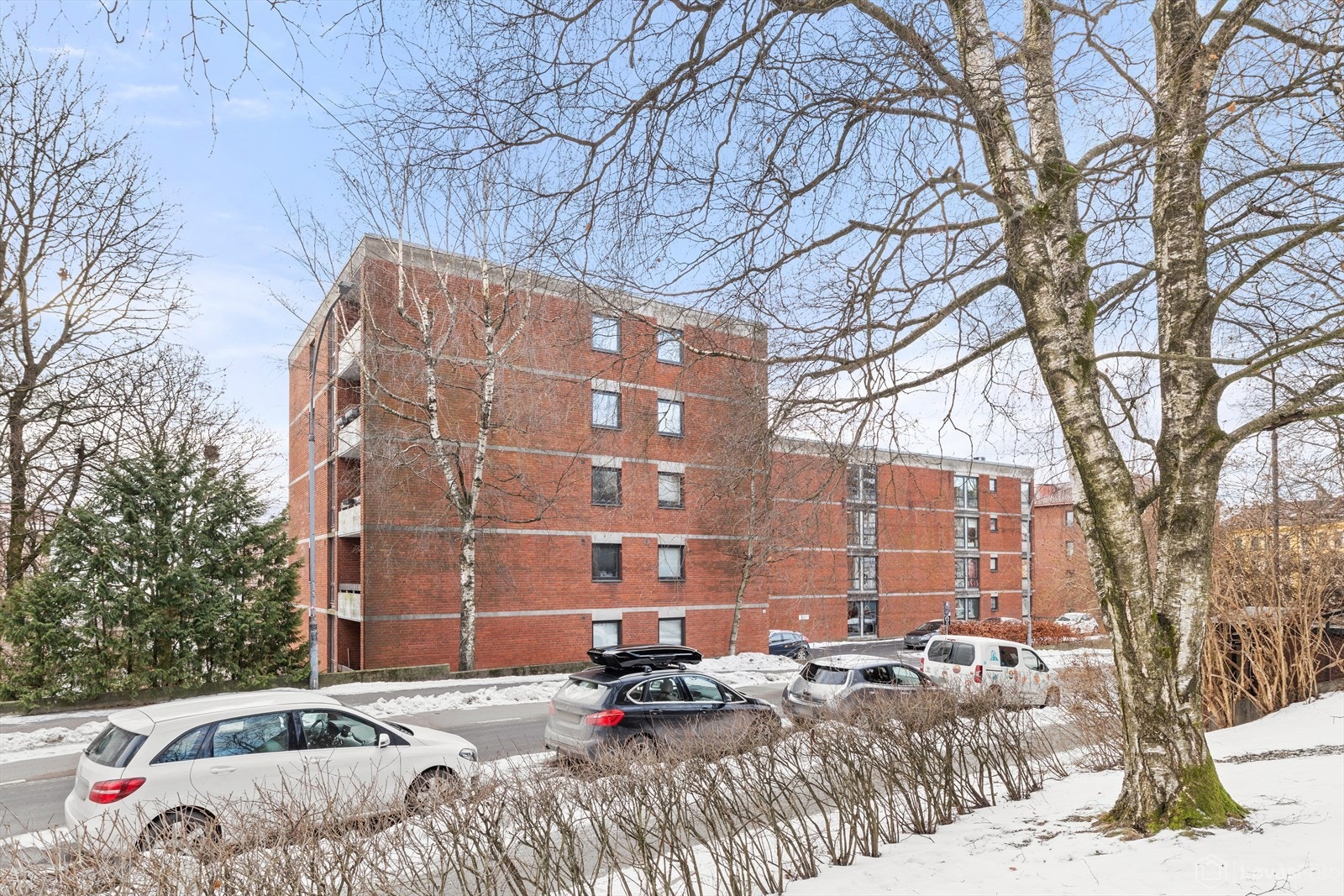 Velkommen til visning! Galleribilde