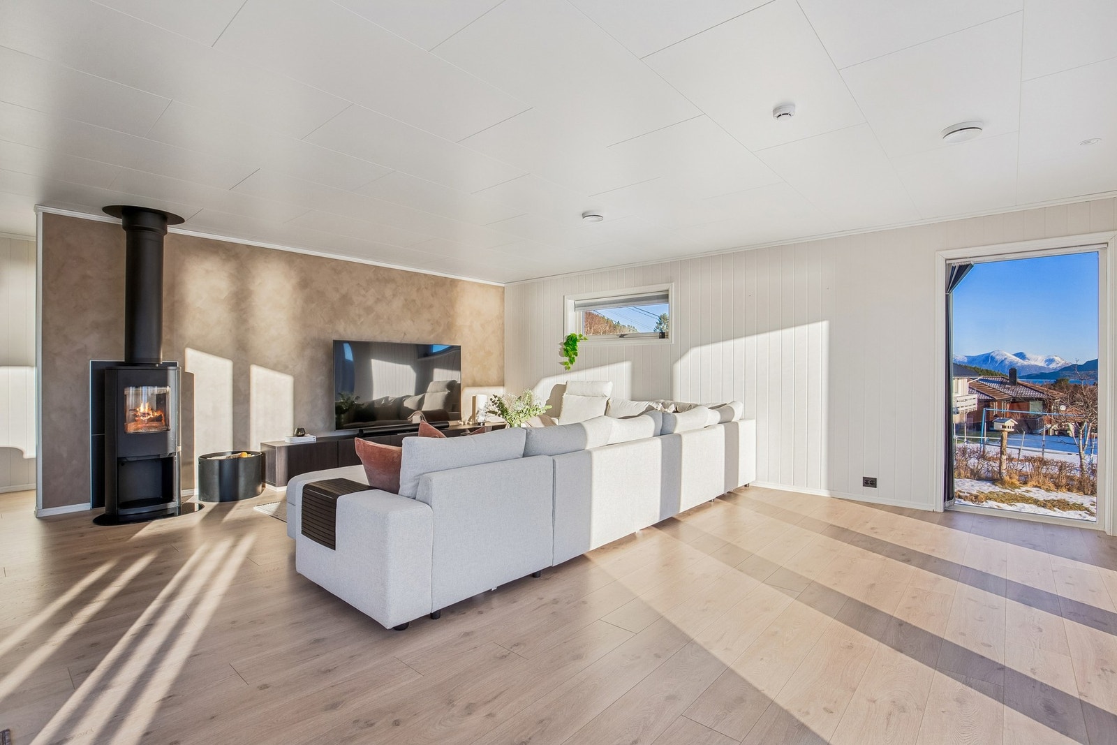 Stue har også vedfyring Galleribilde