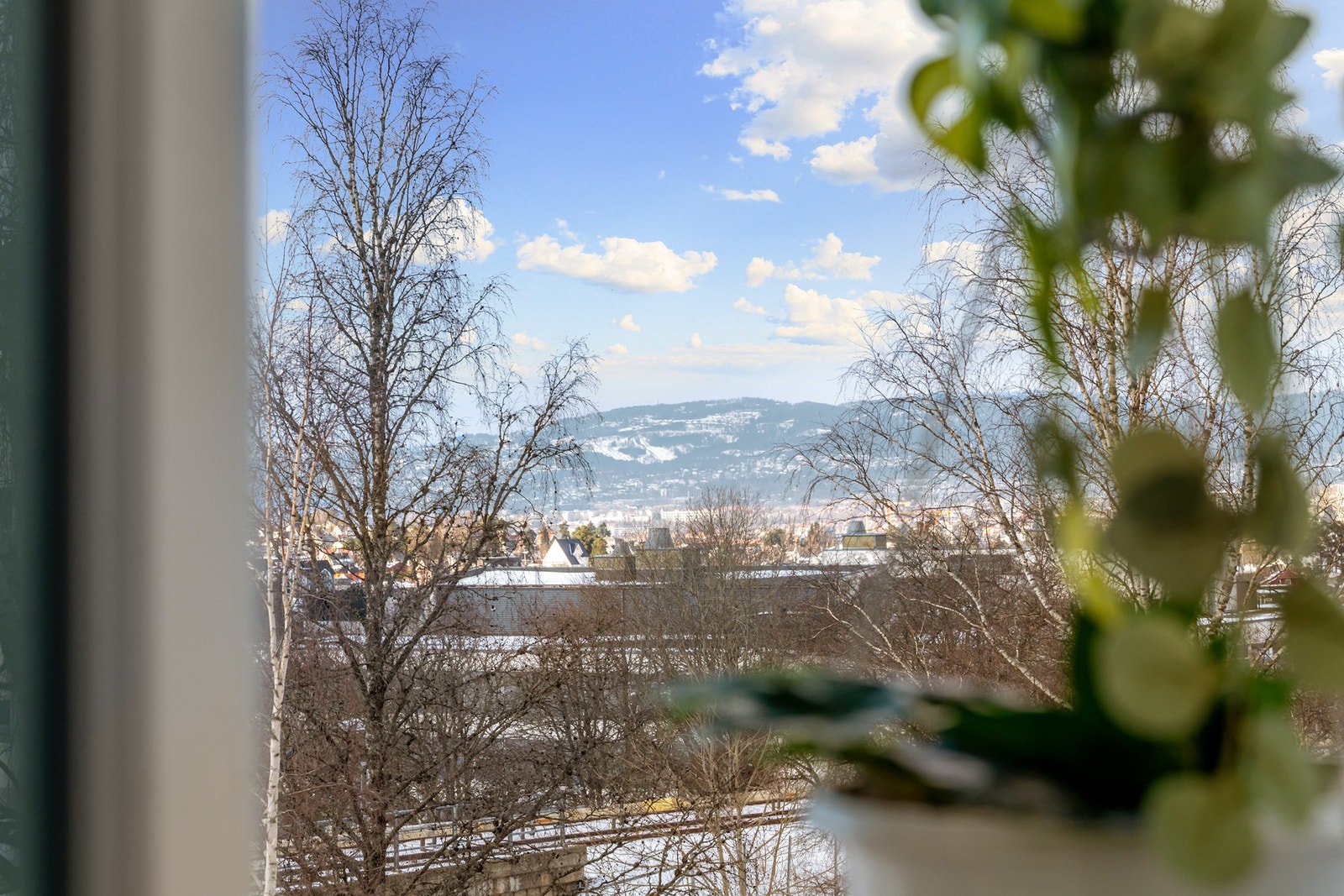 De store vindusflatene slipper inn flott lys, samtidig som det ikke er innsyn og fin utsikt. Galleribilde