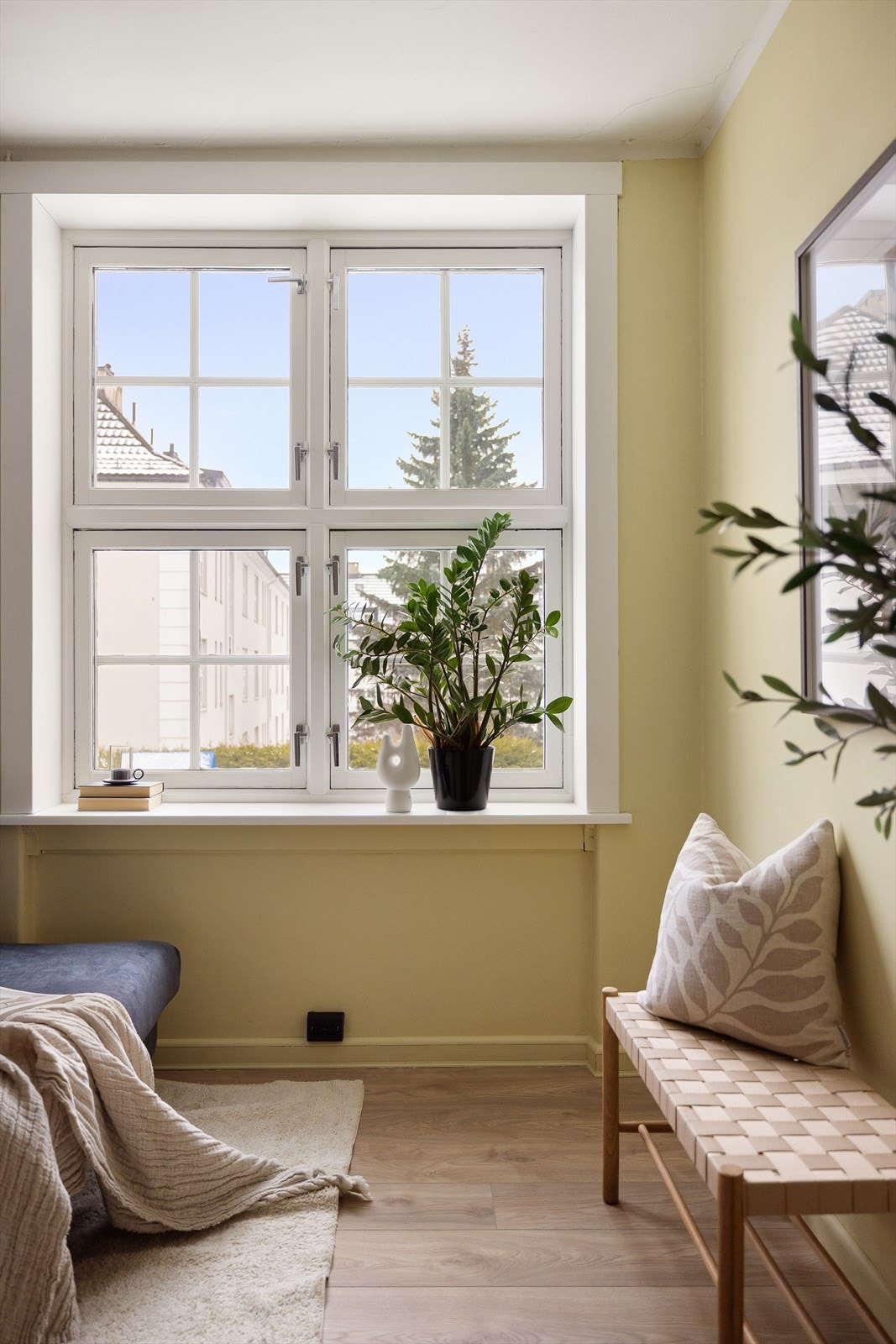 Store vindusflater som gir rikelig med luft og lys. Galleribilde