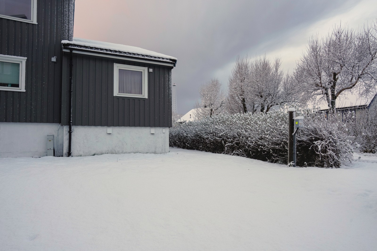 _DSC7089 Galleribilde
