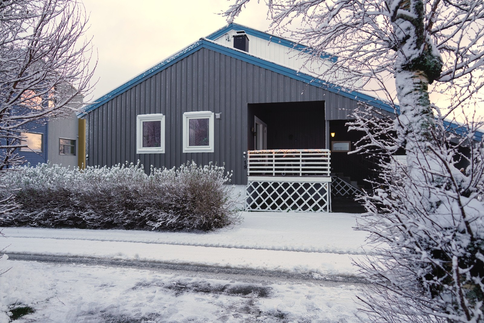 _DSC7082 Galleribilde