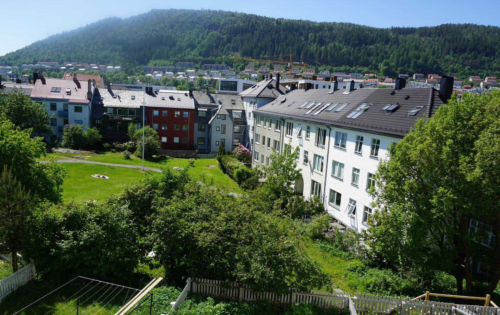 Stort grøntområde på eiendommens bakside som fritt kan benyttes Galleribilde