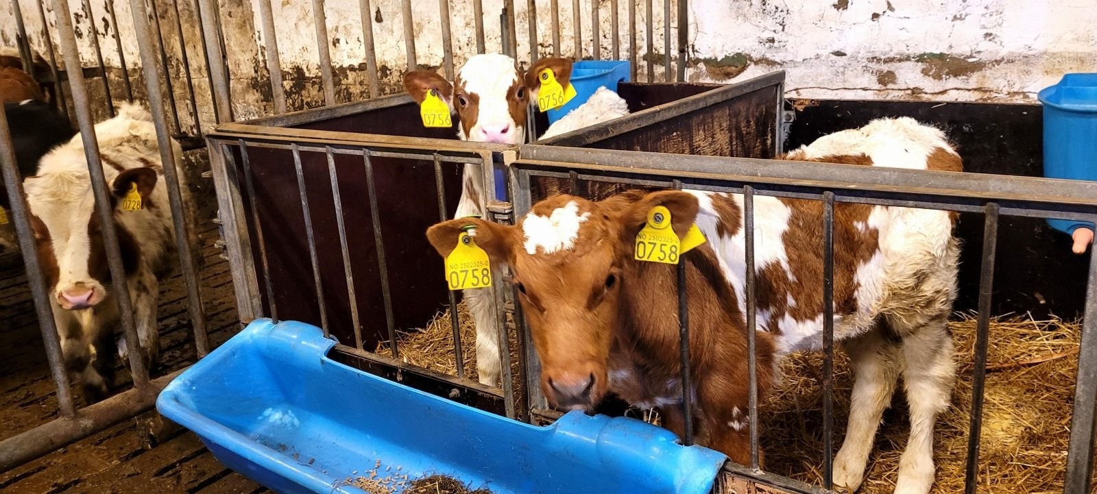 Driftsbygning Galleribilde