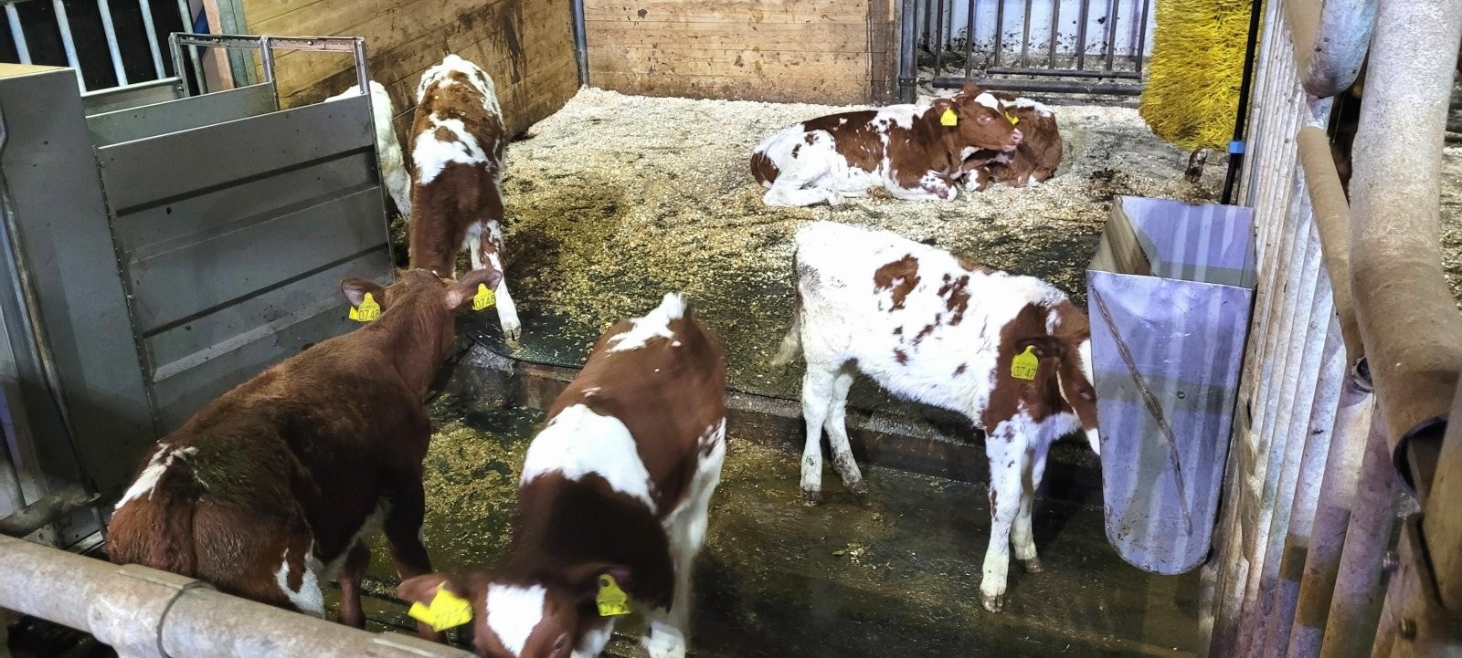 Driftsbygning Galleribilde