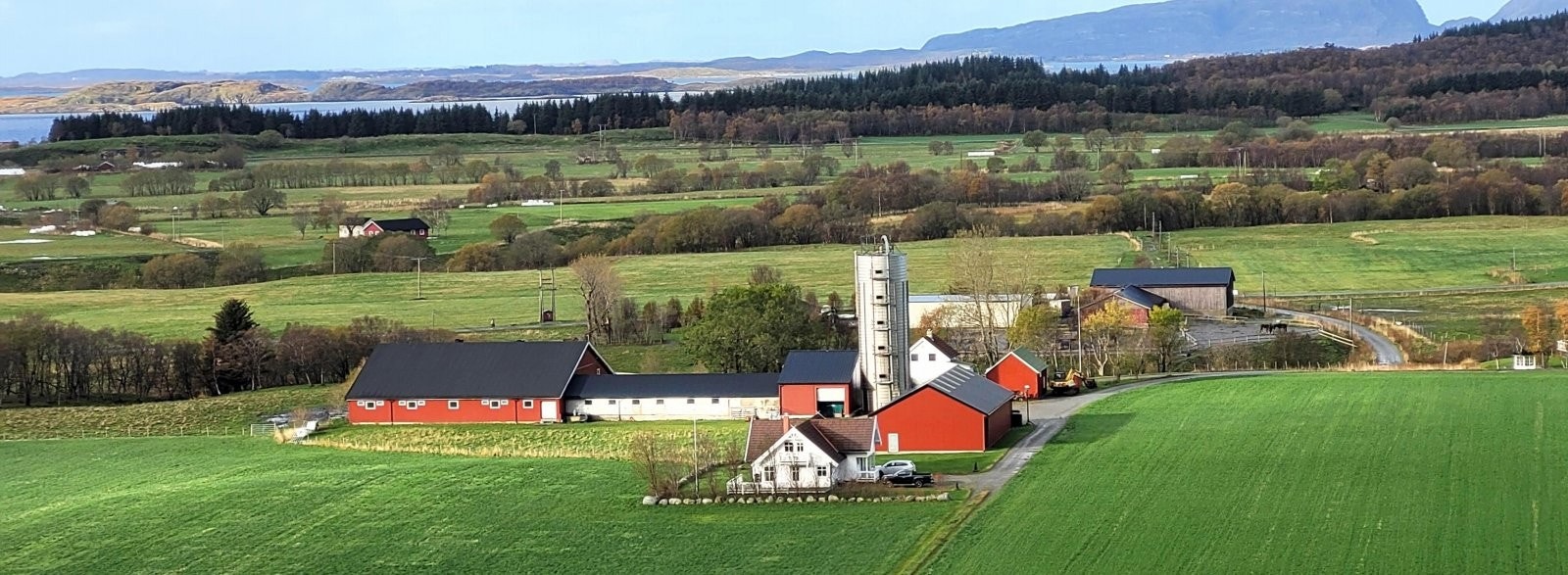 Gårdstun Galleribilde