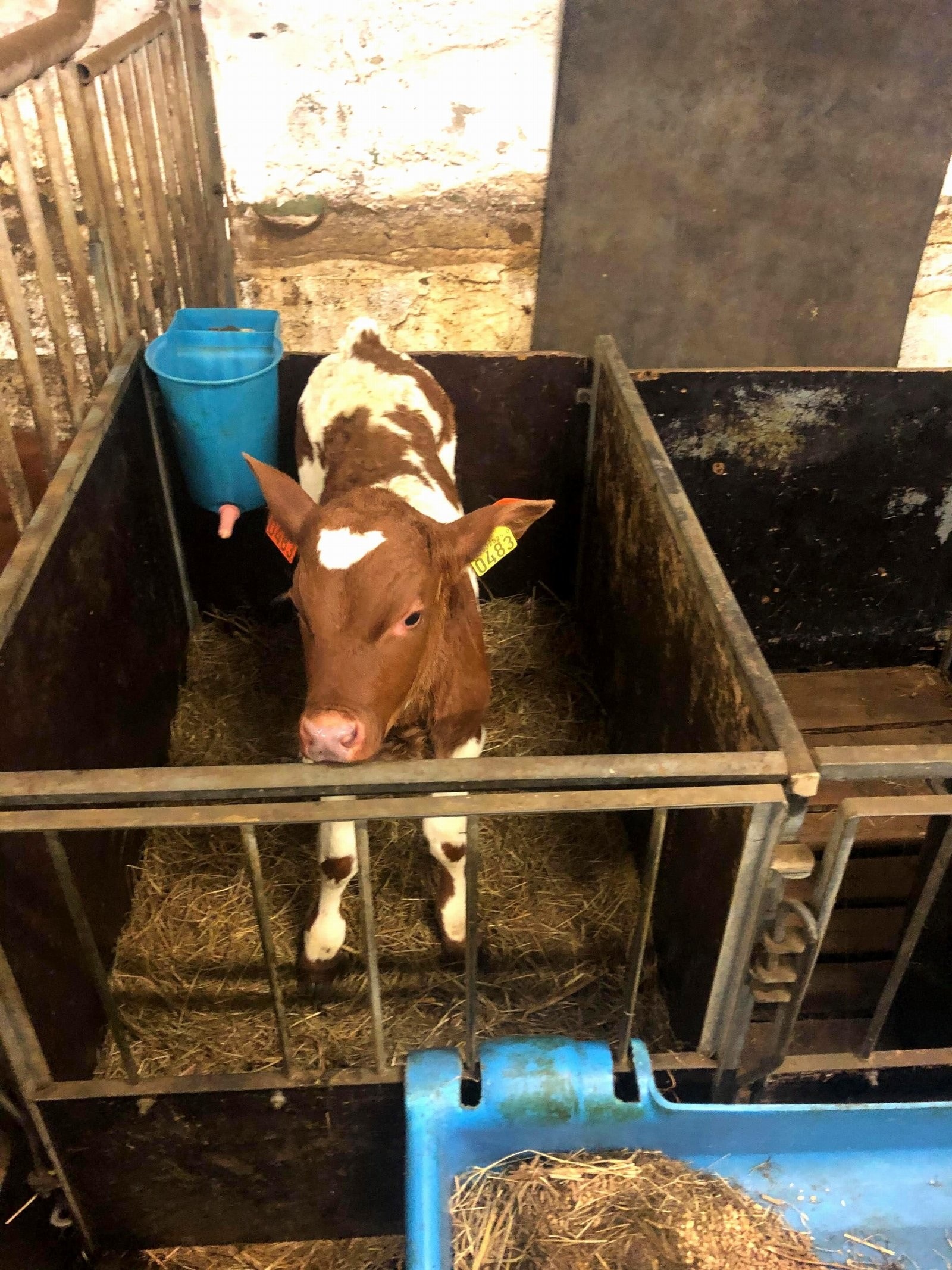 Driftsbygning Galleribilde