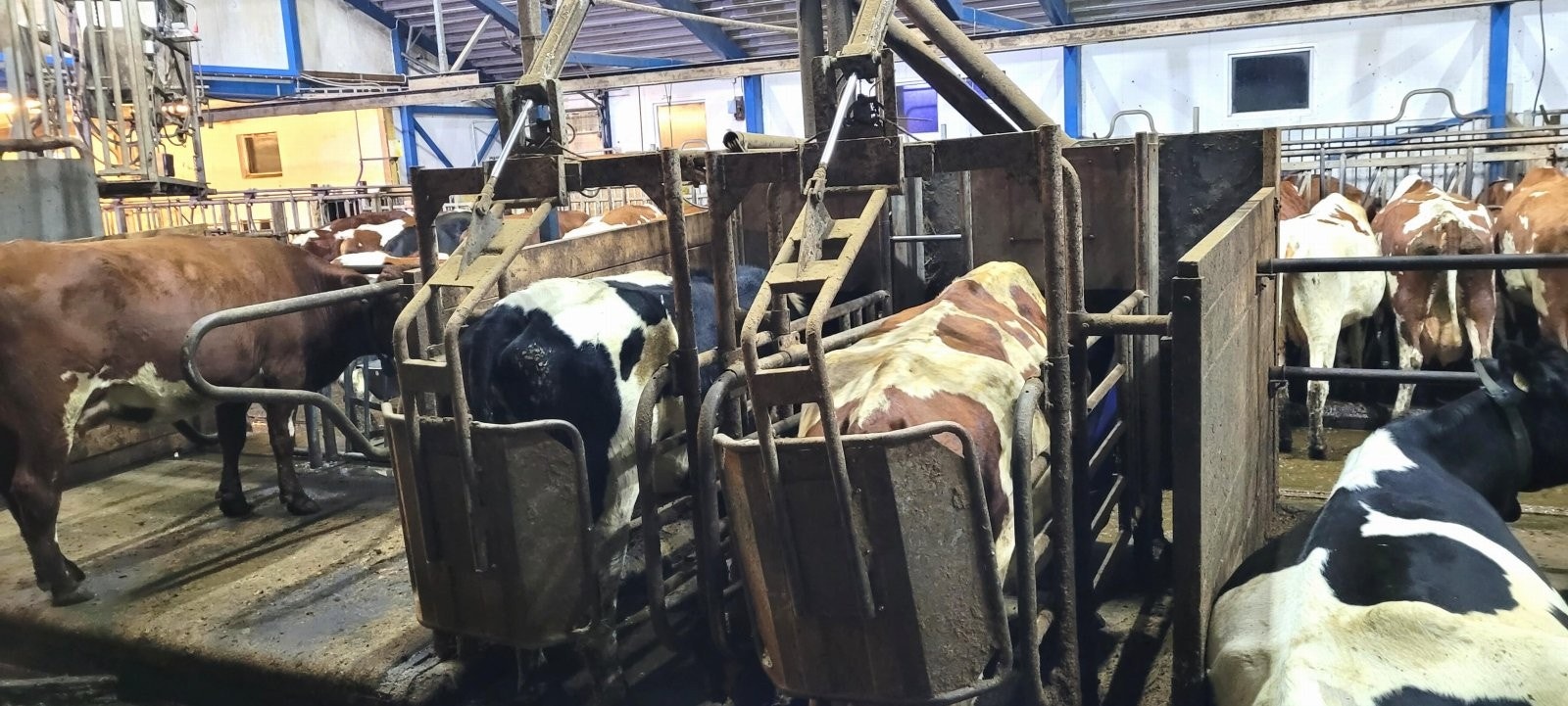 Driftsbygning Galleribilde