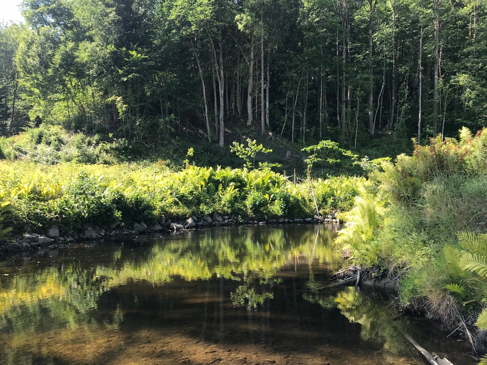 Nordelva bukter seg gjennom eiendommen og munner ut i Lierelva. Galleribilde