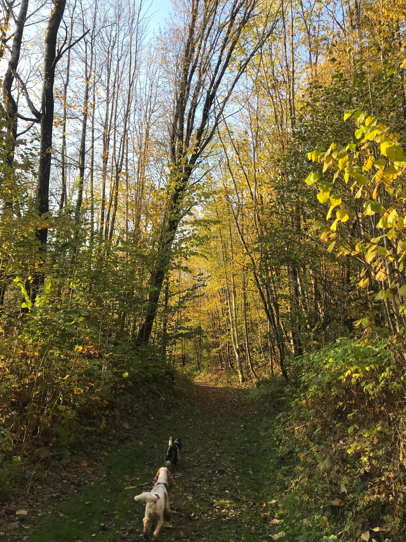 Lierbanen går like utenfor eiendomsgrensa, og er i dag en av Liers vakreste tur- og sykkelstier, og går gjennom vakkert kulturlandskap. Galleribilde