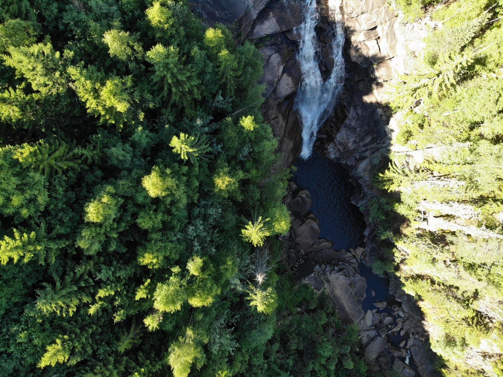 En tur opp Asdøljuvet, Solveigfossen eller opp til Hørtekollen anbefales på det sterkeste! Galleribilde