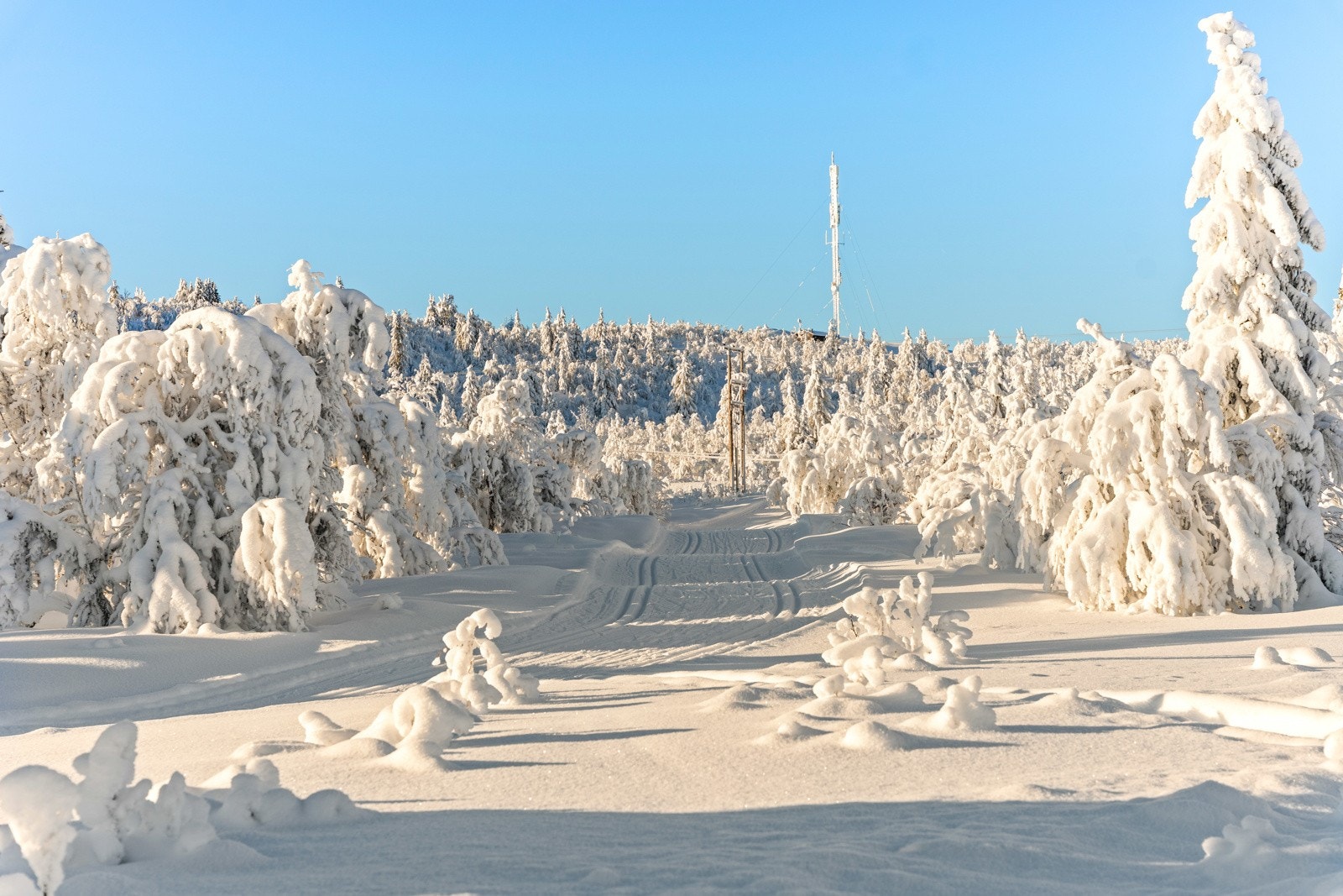 På Venabygdsfjellet finner du snøsikre forhold og fantastiske skiløyper - perfekt tilrettelagt for både korte koseturer og lange dagsetapper. Galleribilde