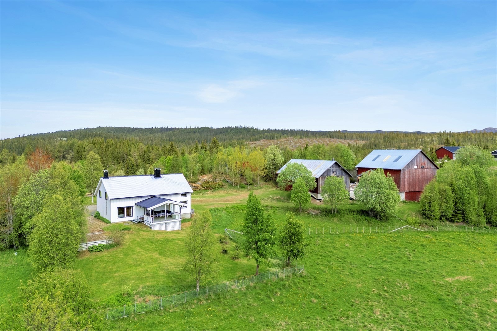 Velkommen til visning! Galleribilde