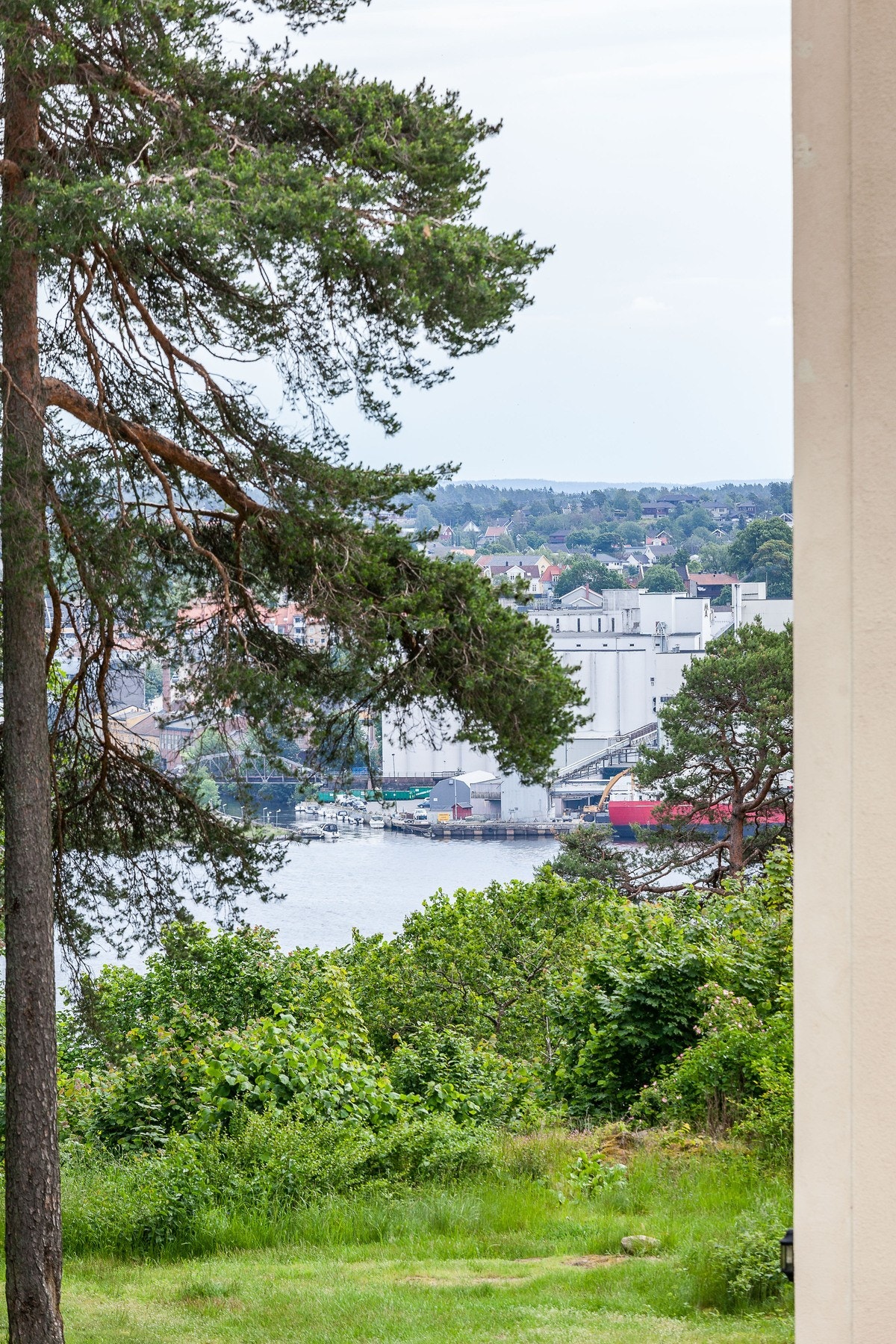 Zoomet utsikt Galleribilde