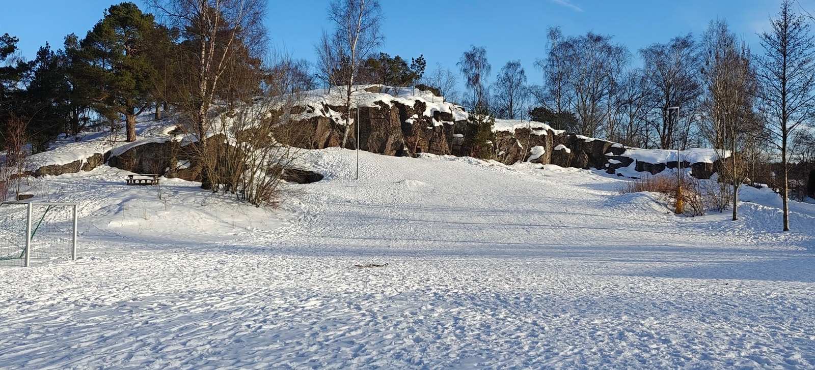 Selgers bilde fra akebakken nede på Grim Galleribilde