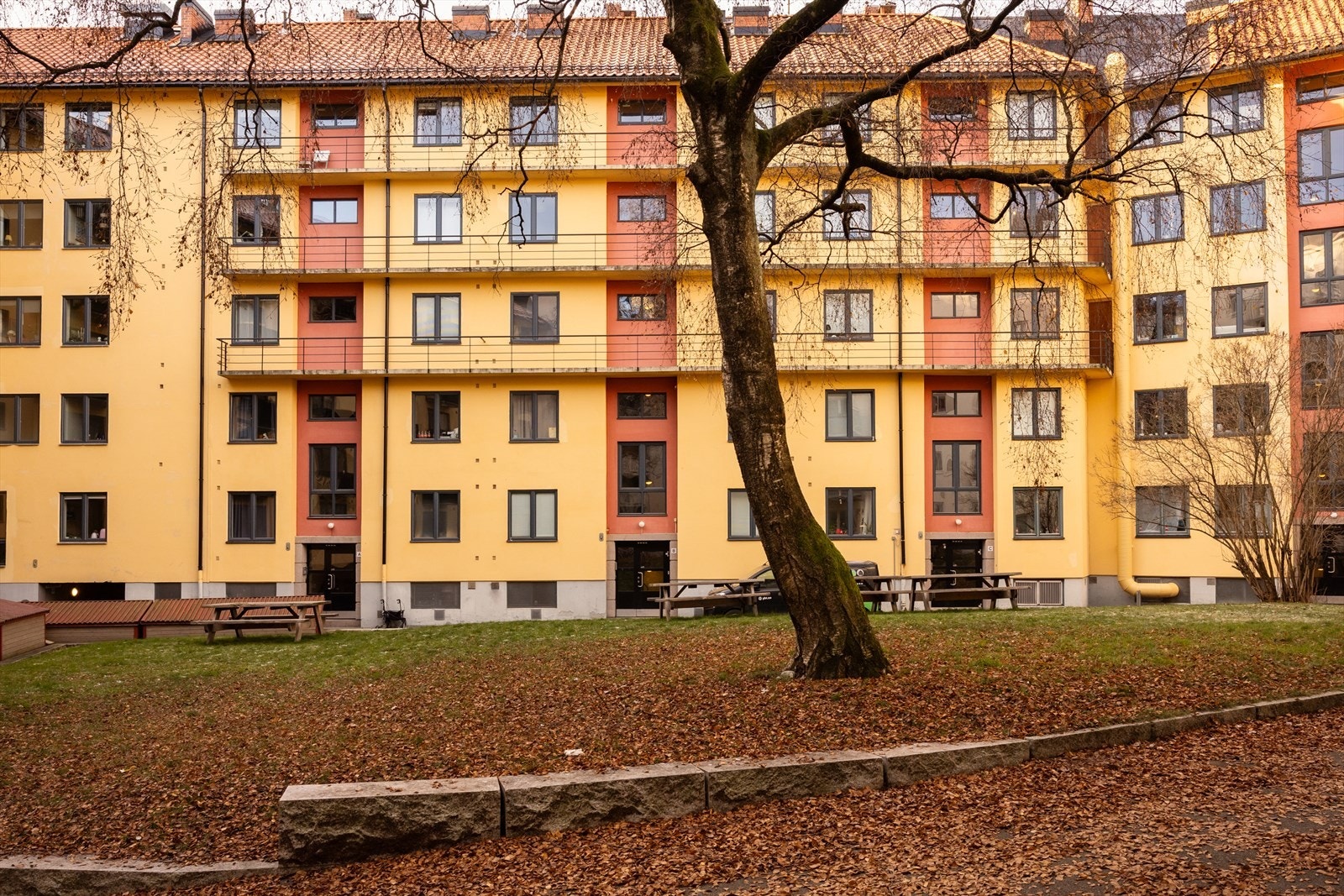 Pent opparbeidet bakgård med blant annet gressplen, trær og sittegrupper Galleribilde