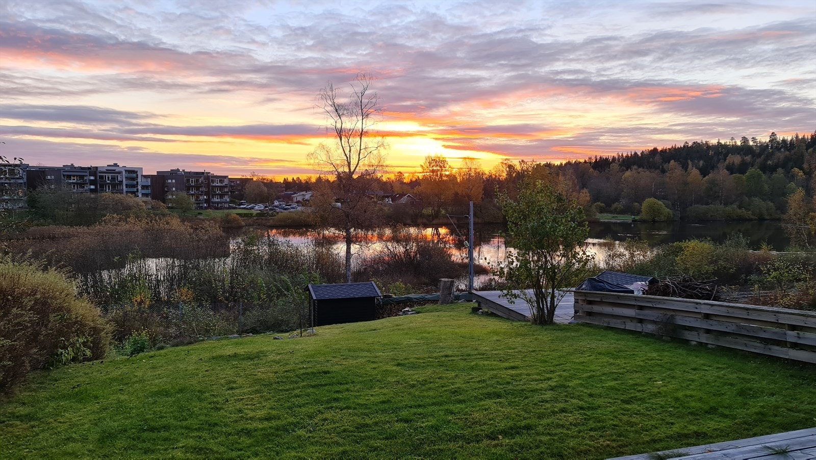 Selgers private bilder. Galleribilde