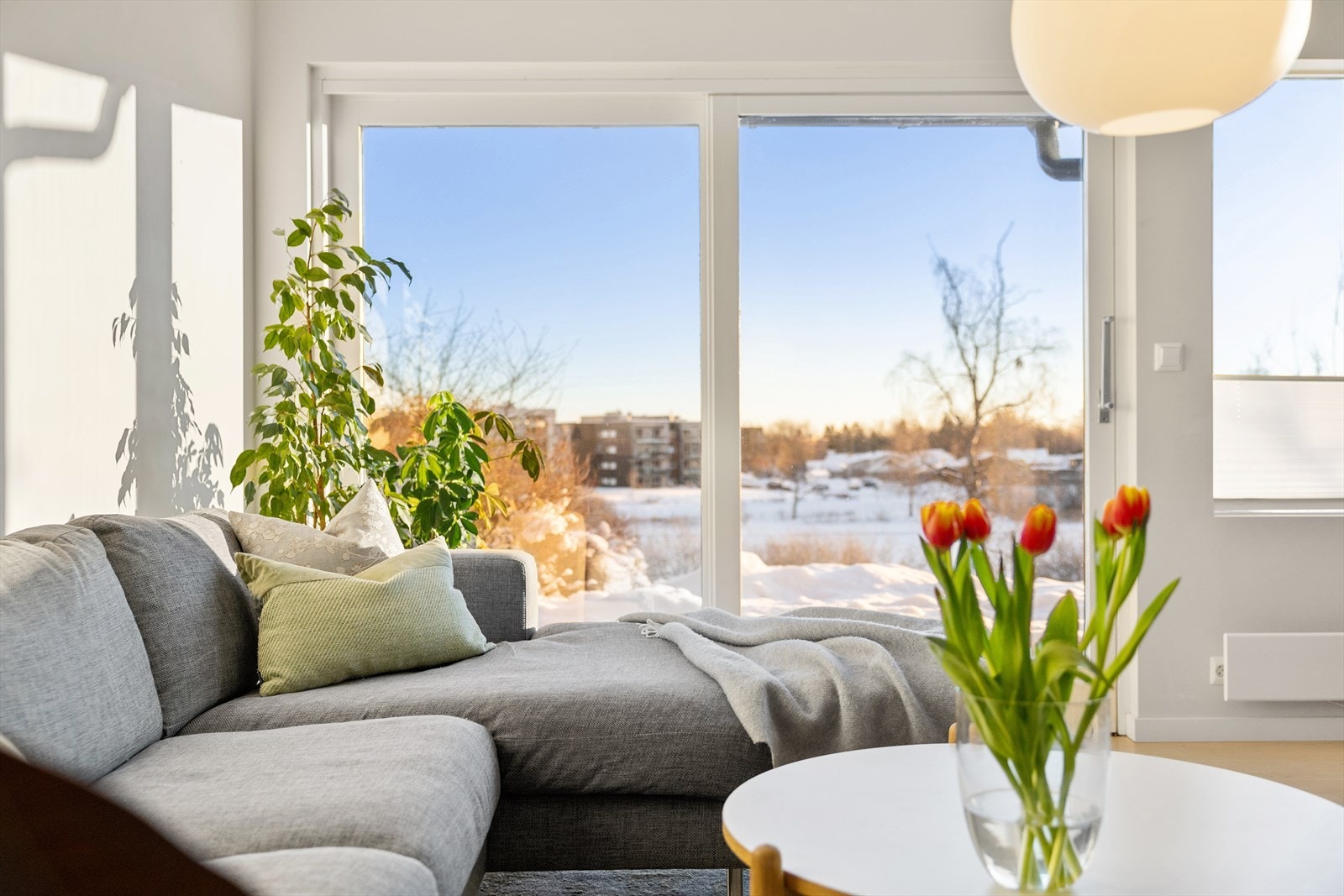 Fra stuen er det usjenert utsyn. Galleribilde