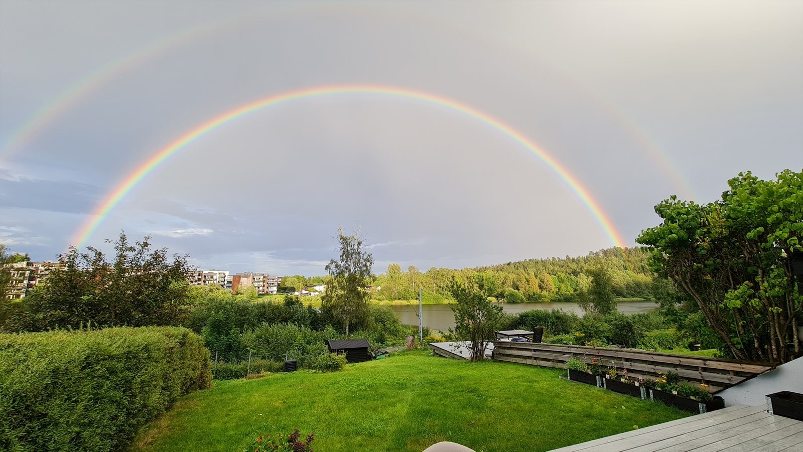 Selgers private bilder. Galleribilde