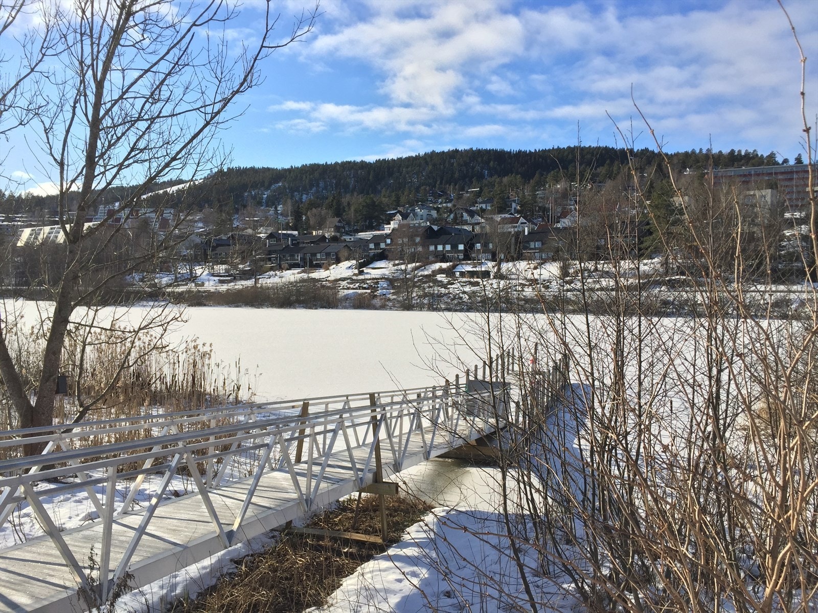 Nærområdet byr på flotte turmuligheter rundt Bondivann, sommer som vinter. Selgers private bilder. Galleribilde