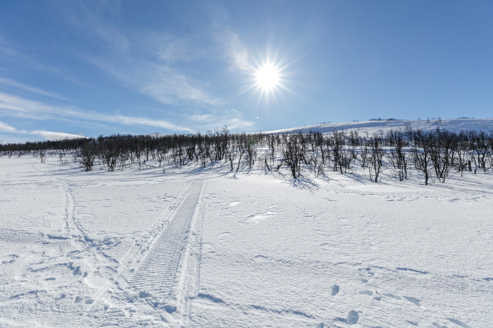 hellandslie2023_1 Galleribilde