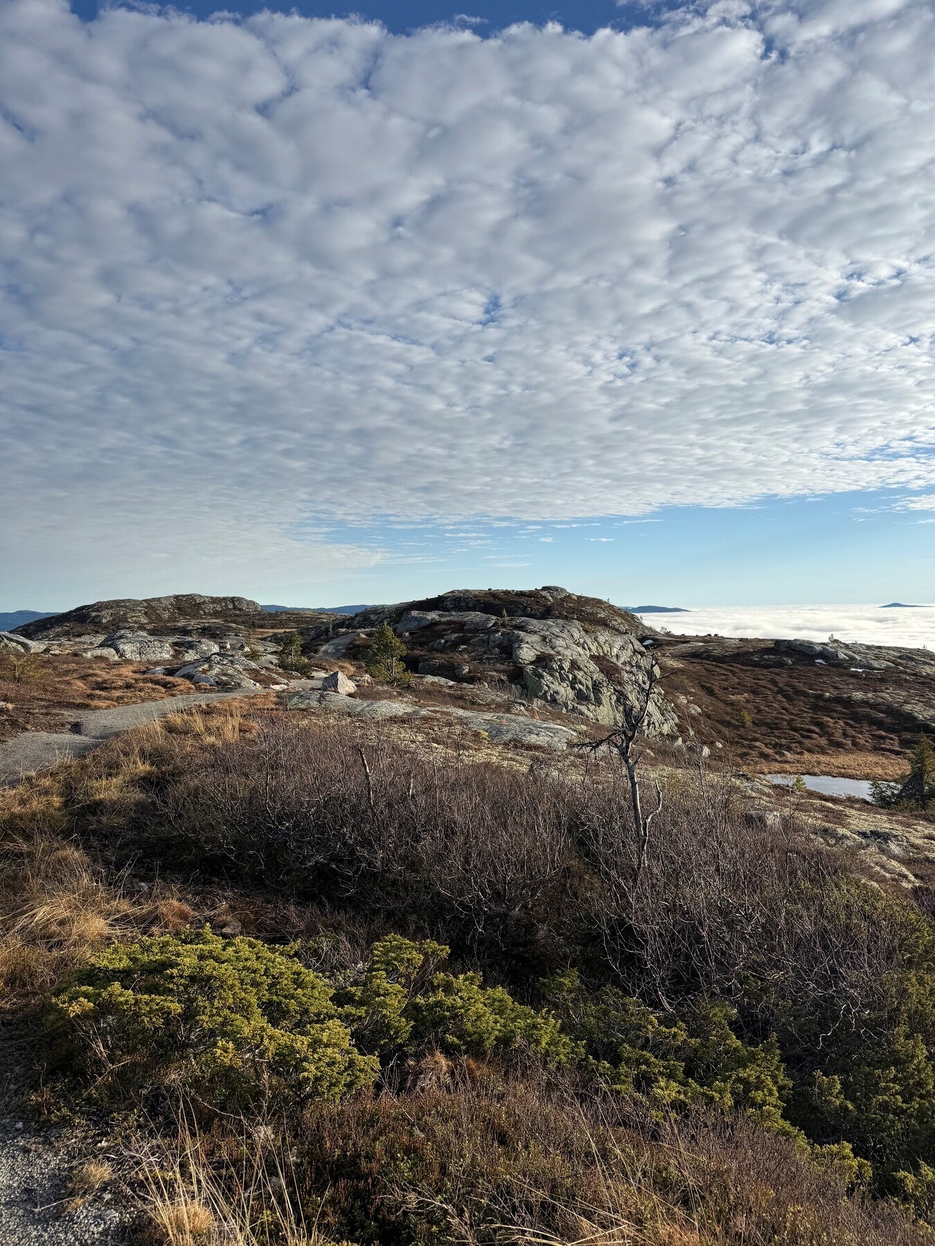 Selgers bilde. Topptur direkte fra hytta til fots. Galleribilde