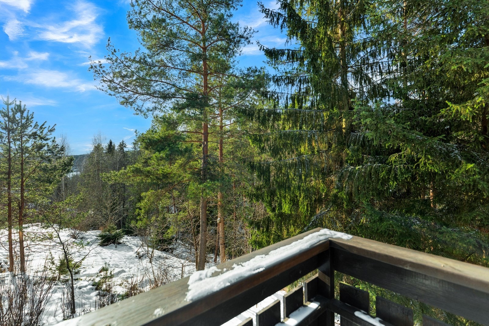 Utsikt fra terrasse Galleribilde