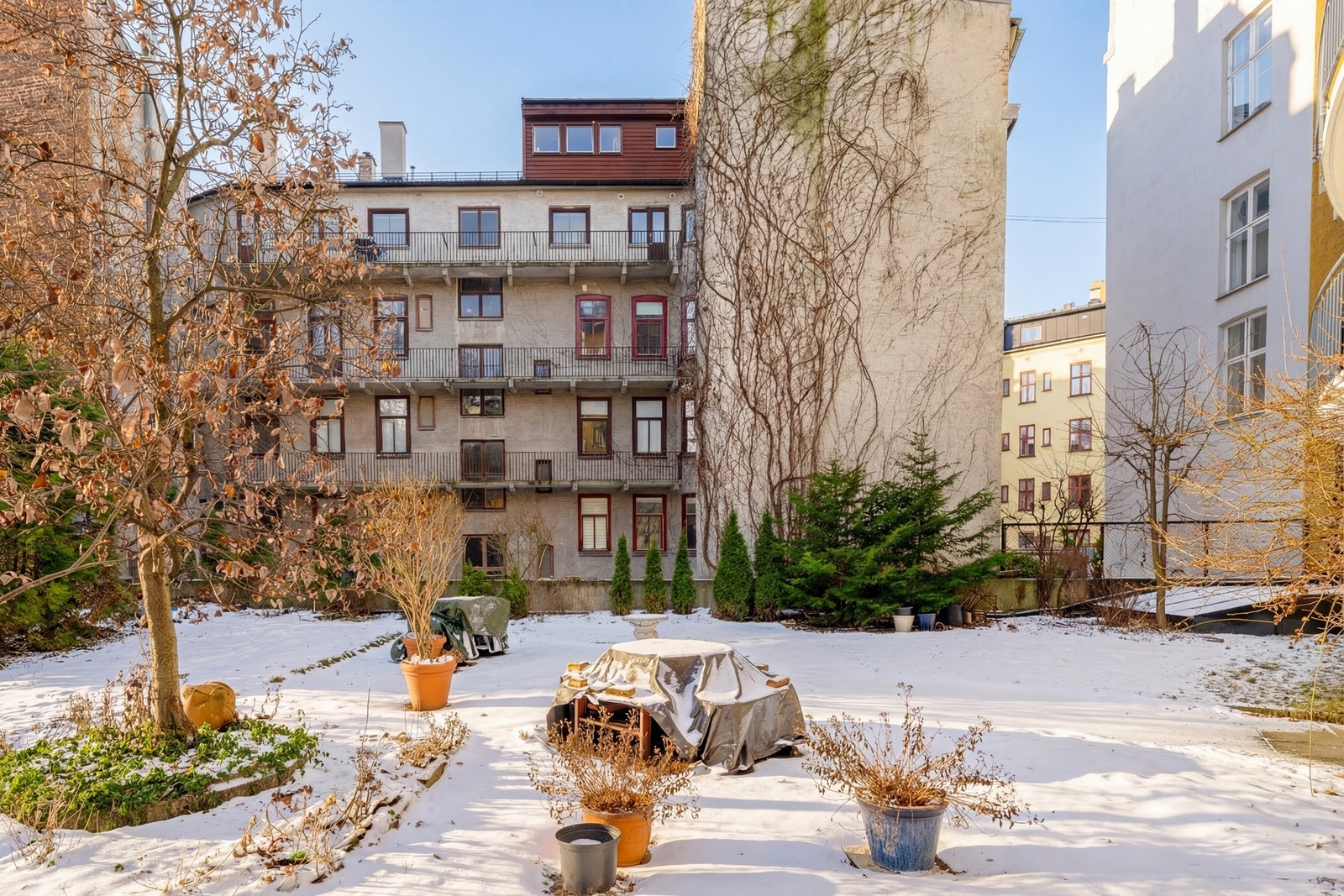 I sameiet er det en flott og frodig bakgård. Galleribilde