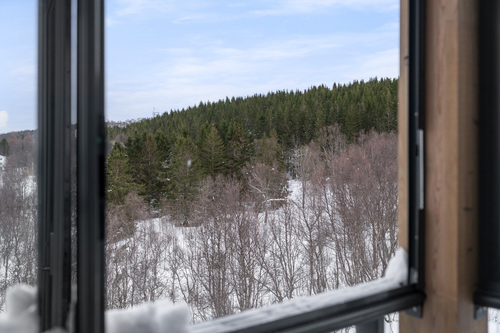 Utmerket intern hjørnebeliggenhet i toppetasjen, vendt mot frodige friområder, og uten noe innsyn.