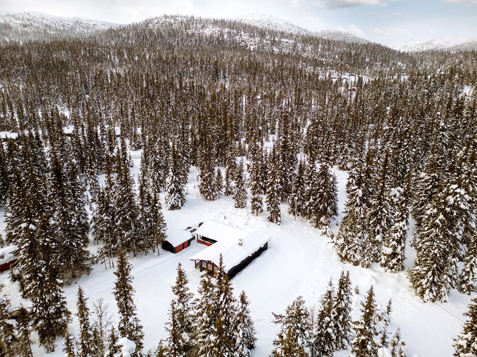 DJI 0017 Galleribilde