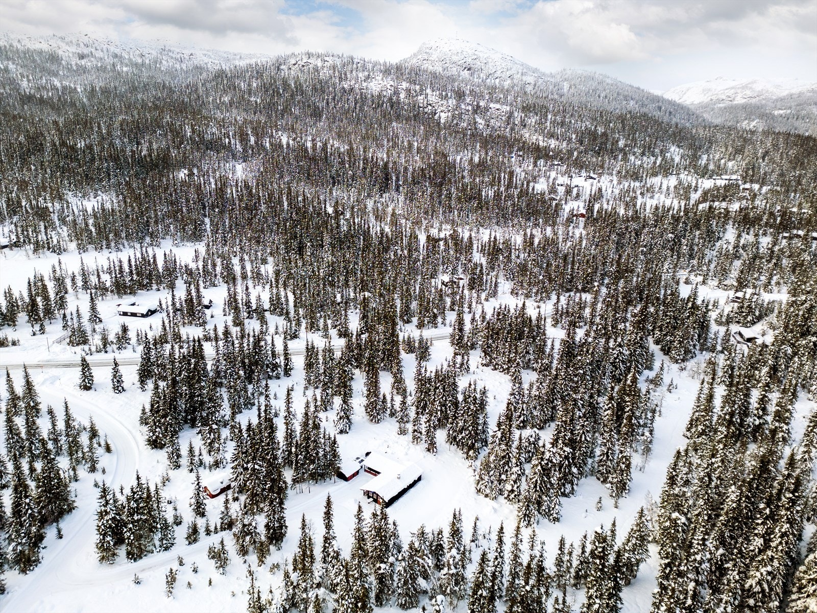 DJI 0066 Galleribilde