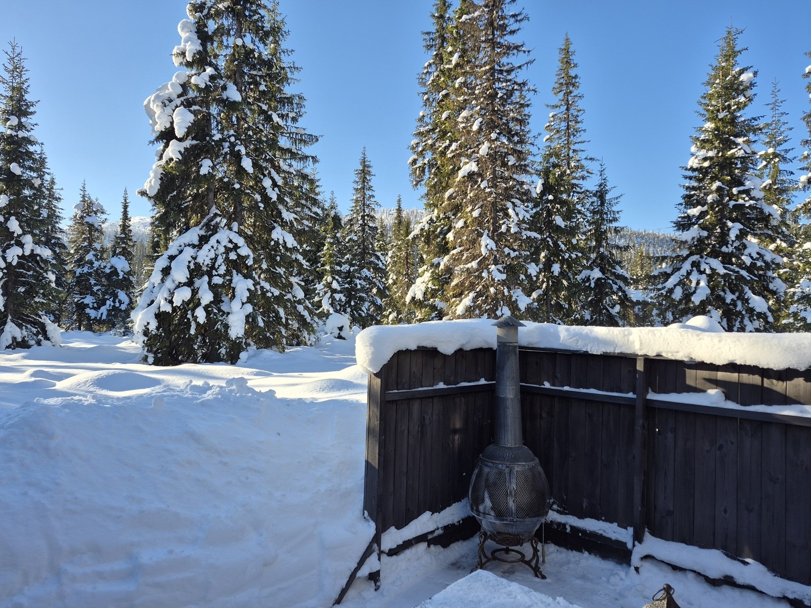 Privat bilde Galleribilde