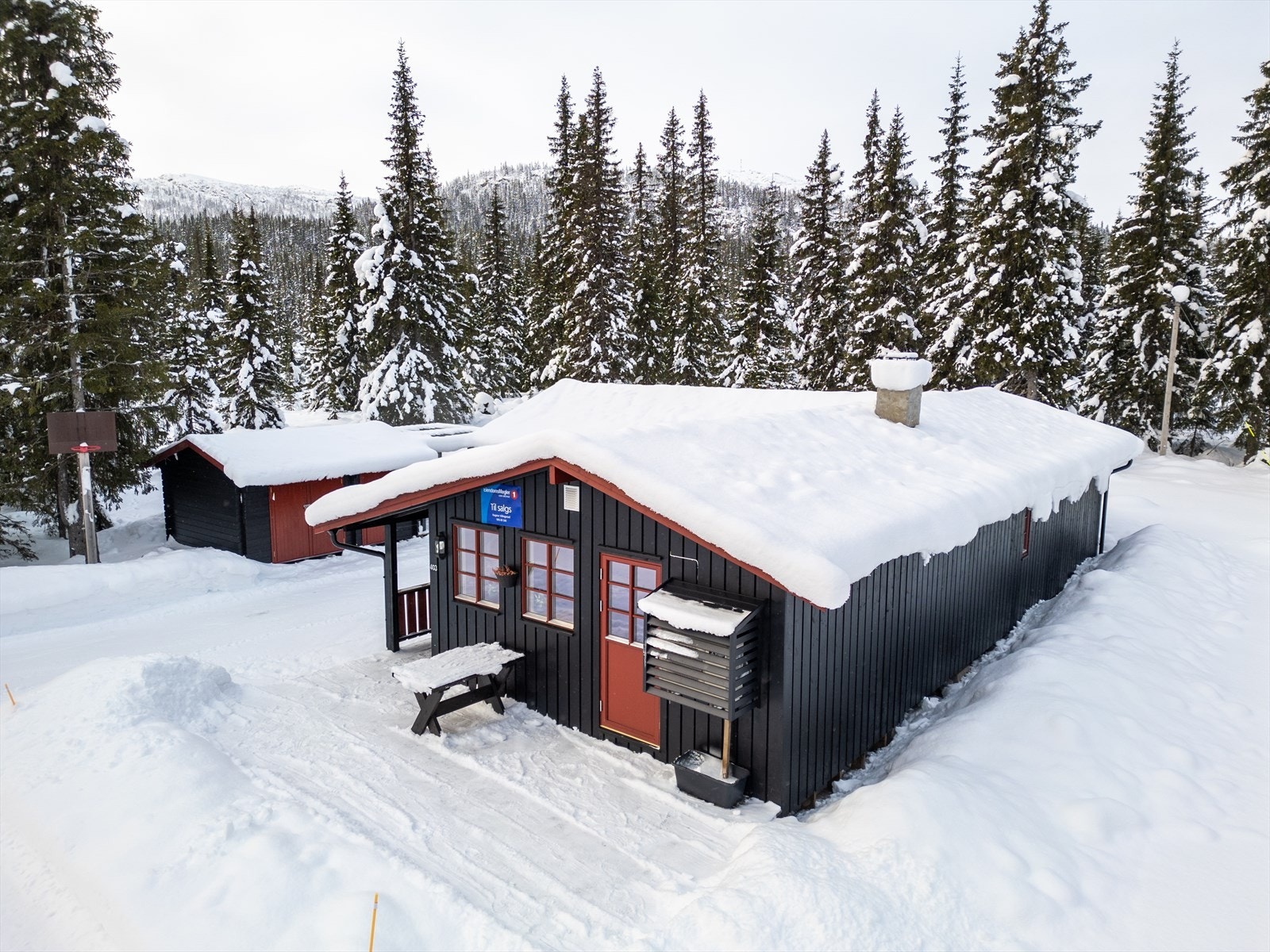 DJI 0011 Galleribilde