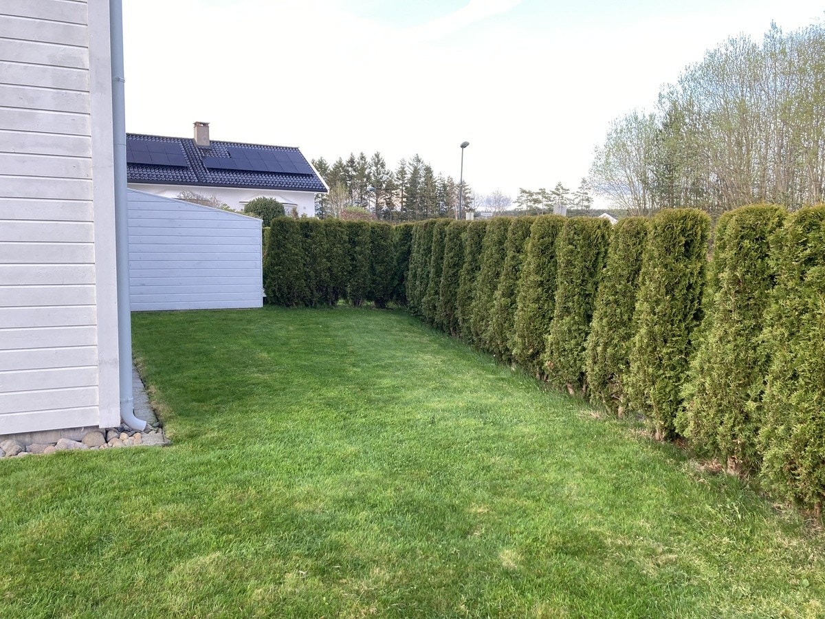 Fin uteplass vendt mot øst. Galleribilde