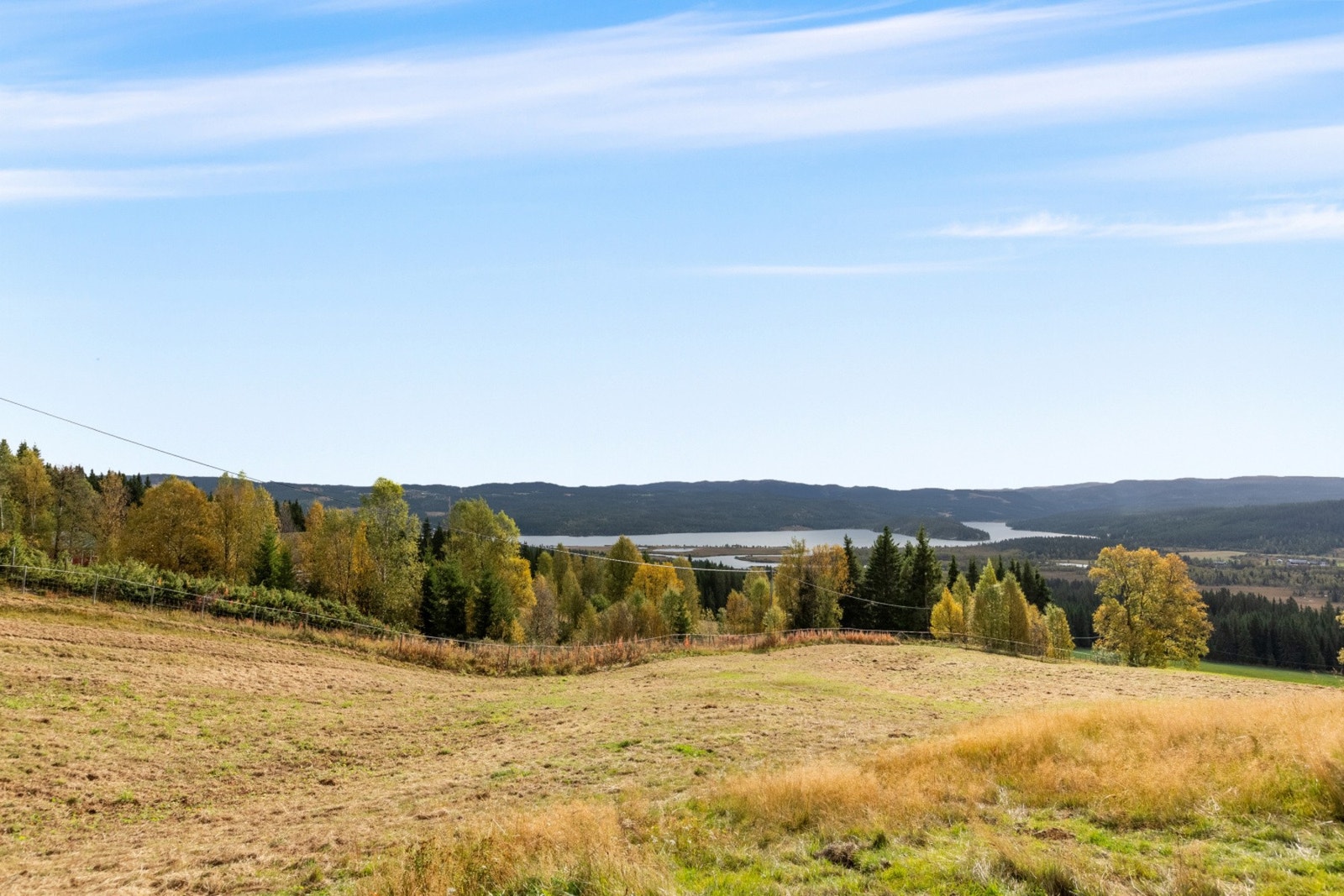 Her ser man mot blant annet Ølsjøen og Pardisfjorden og områdene rundt. Galleribilde
