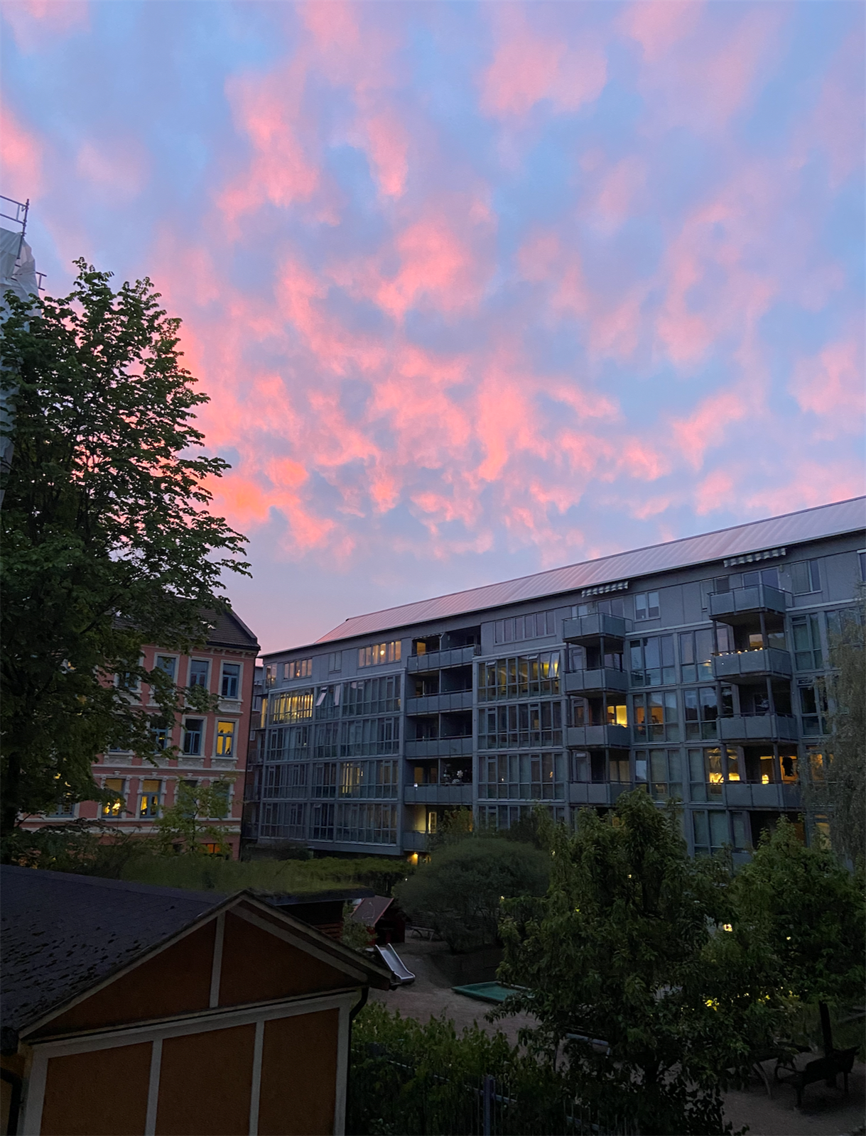 Selgers bilde av den frodige bakgården sommer. Galleribilde