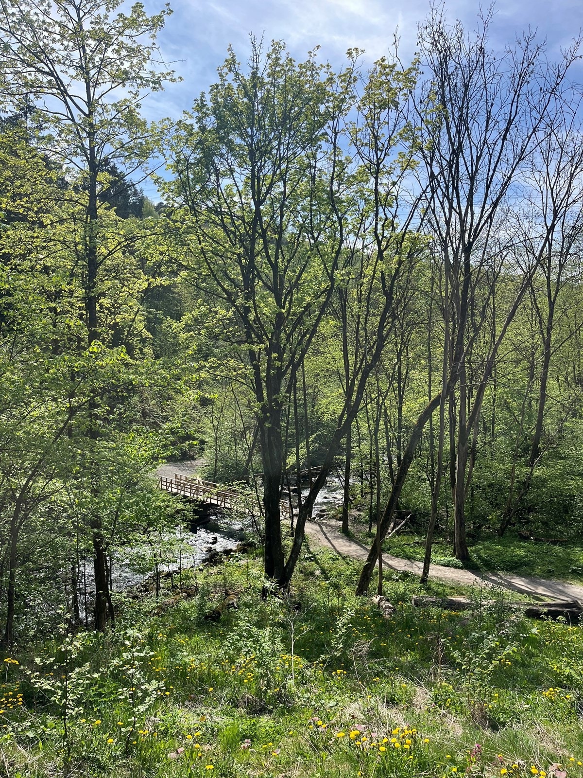 Selgers bilde nærområde Galleribilde