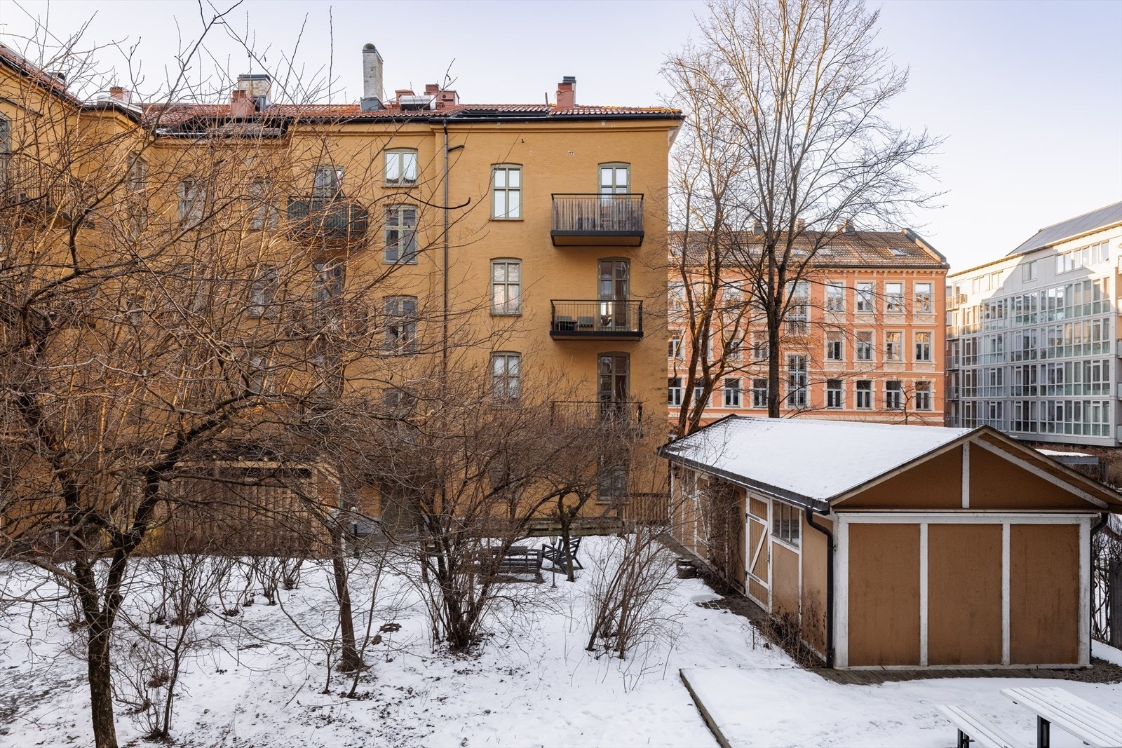 Grønt og frodig utsyn på sommeren Galleribilde