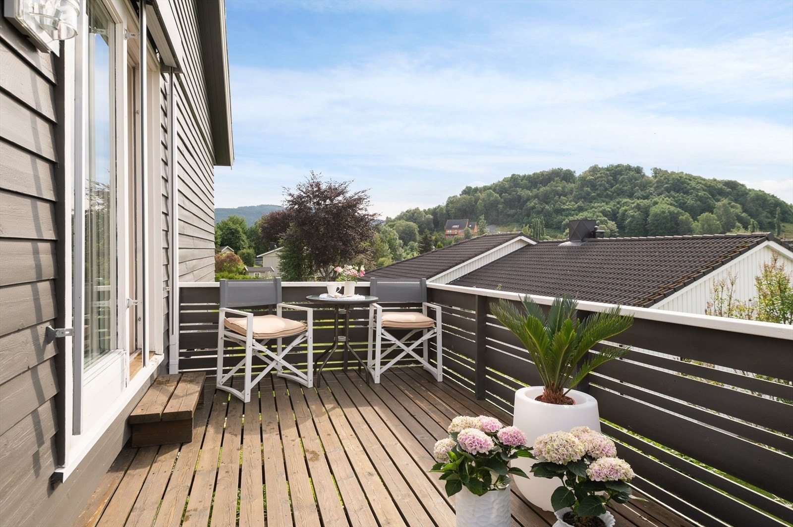 Sommerbilde. Galleribilde