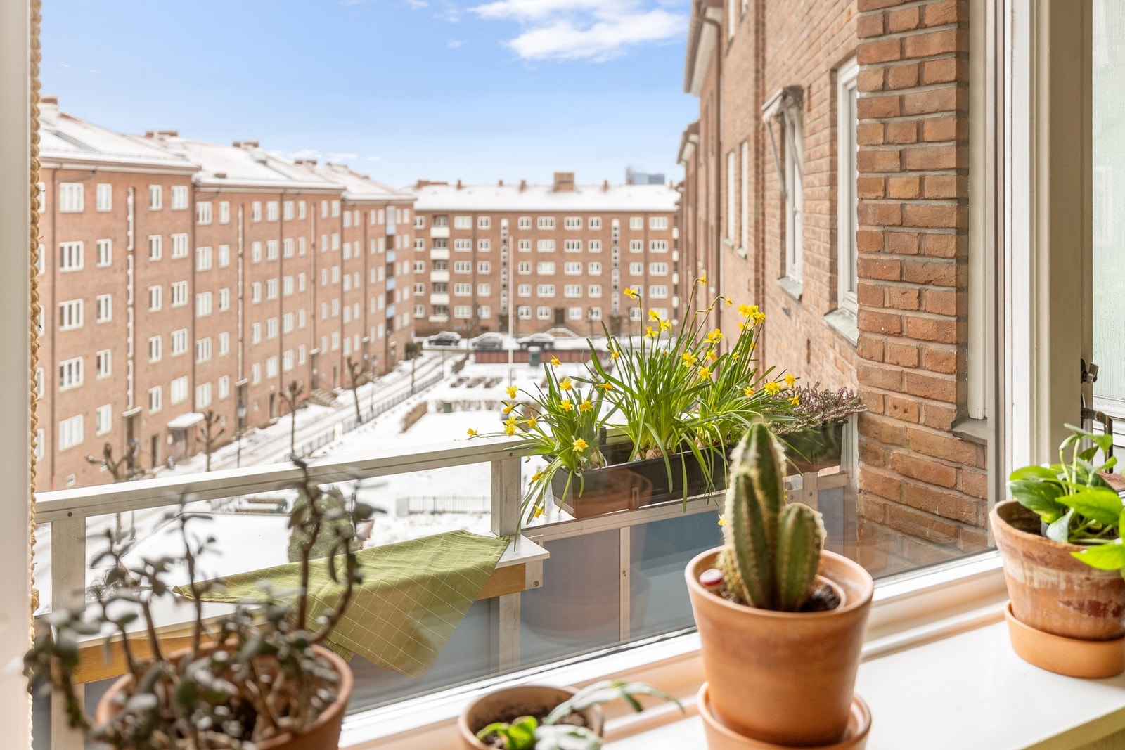 Flott utsyn fra spiseplassen mot den hyggelige bakgården. Galleribilde