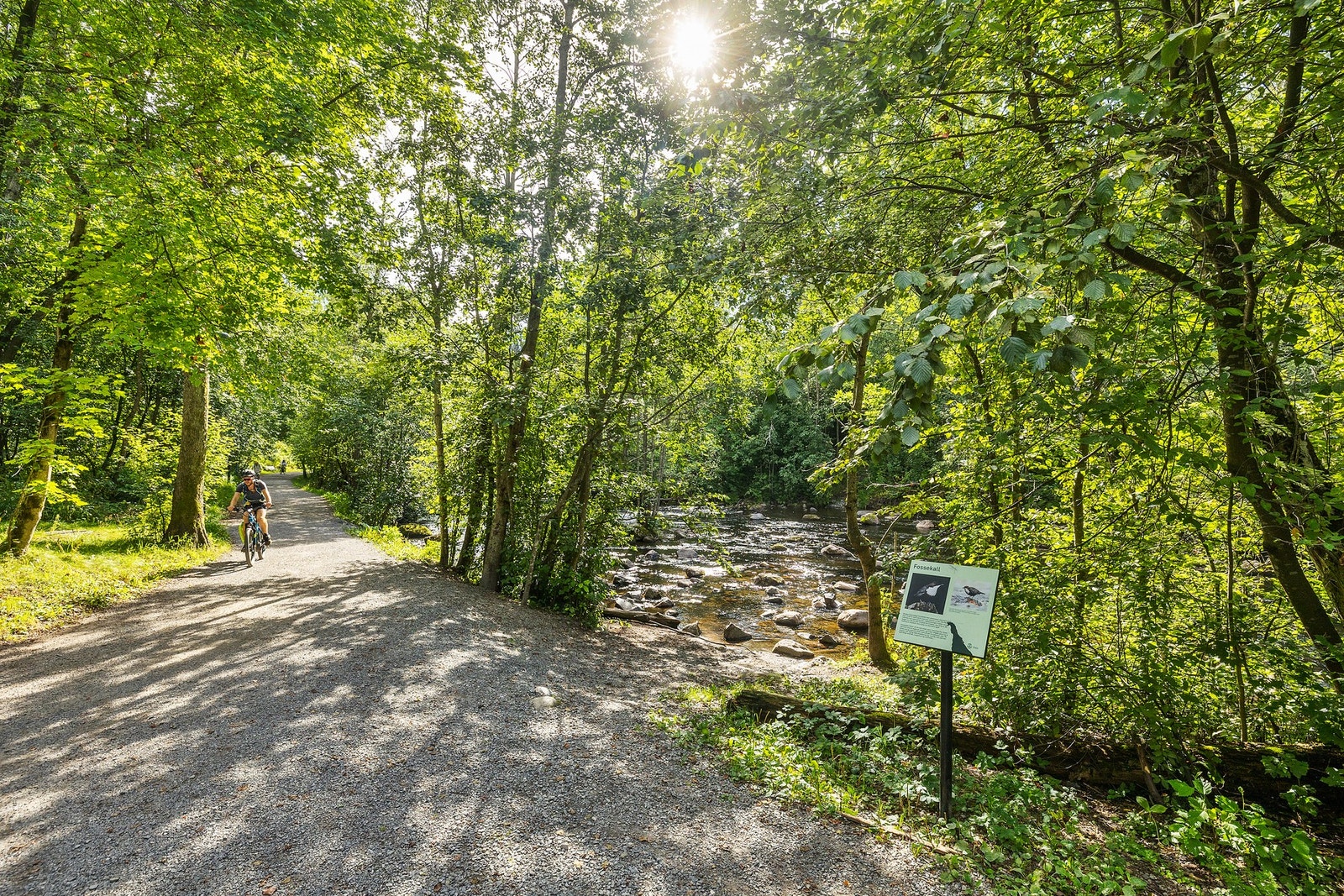 Det er flotte turområder langs Akerselva Galleribilde