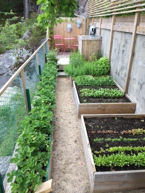 Bilde tatt fra selger. Galleribilde