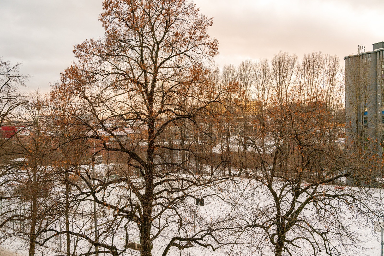 Hyggelig utsikt mot frodige friarealer - en levende utsikt som forandrer seg med årstidene! Galleribilde