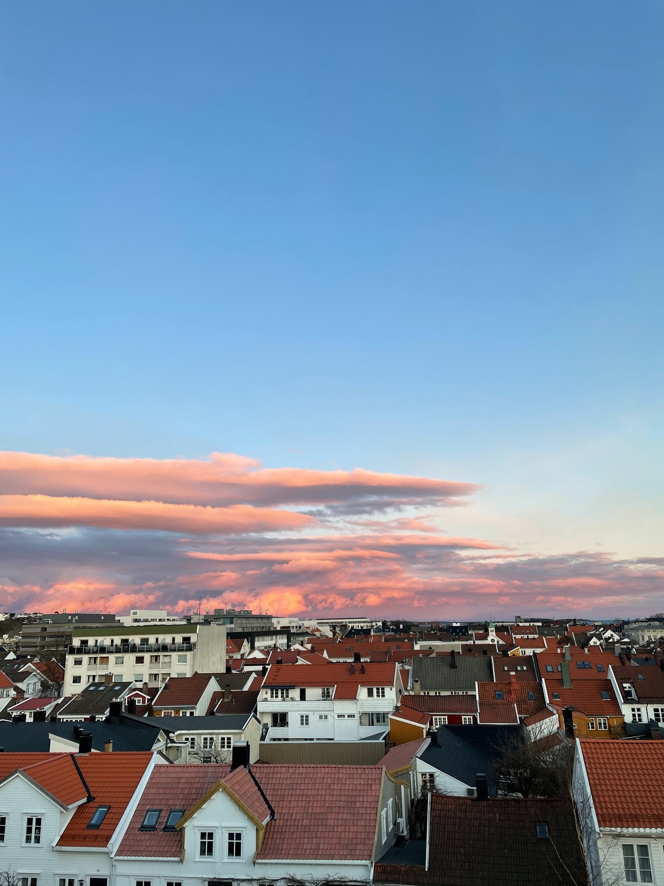 - En hilsen fra selger - Galleribilde