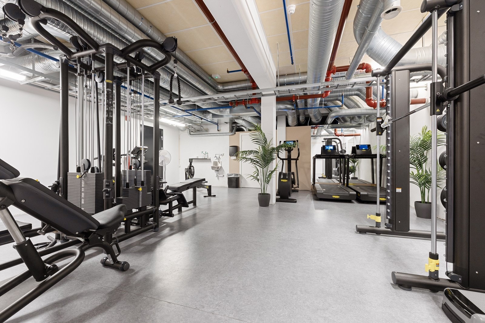 Treningsrom kan benyttes for kr. 299,-/mnd. Galleribilde