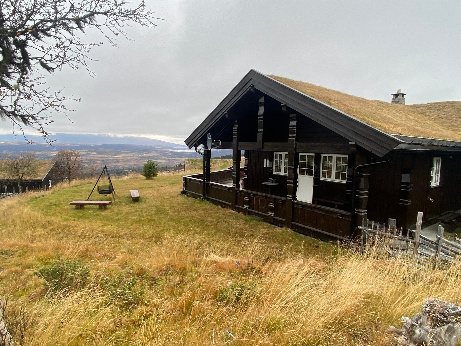 Bilde fra selgers arkiv Galleribilde
