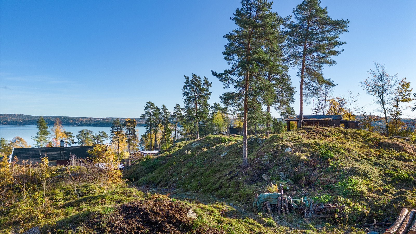 Foto fra tomten Galleribilde