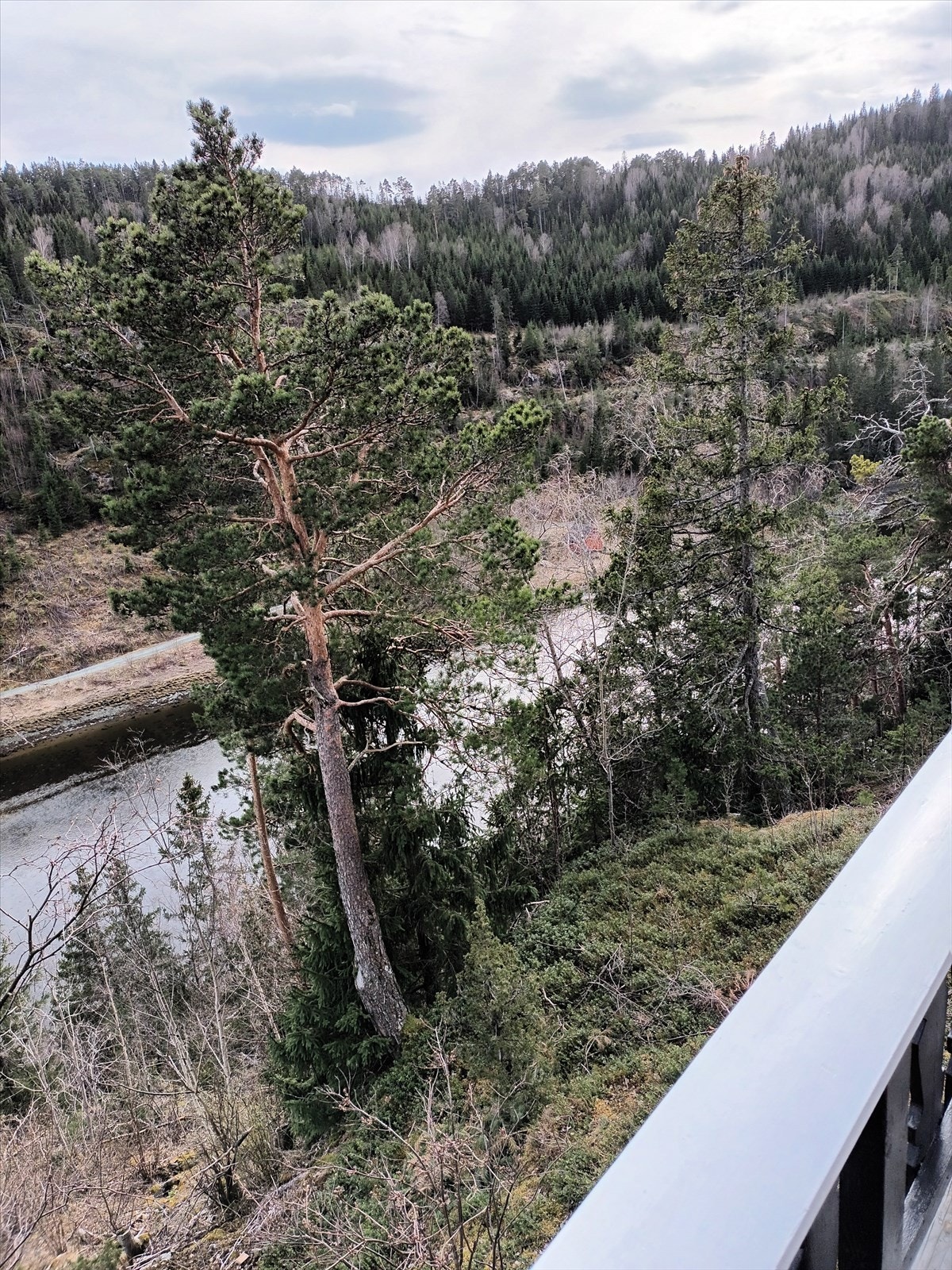 Bilder er tatt av selger. Galleribilde