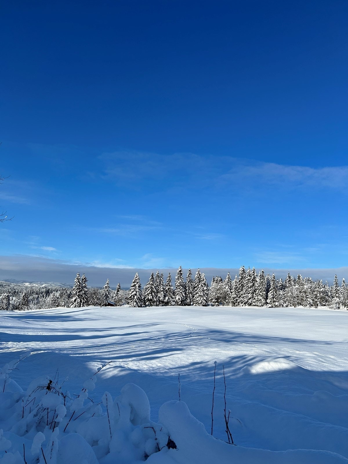 Privat bilde - Vintermekka Galleribilde